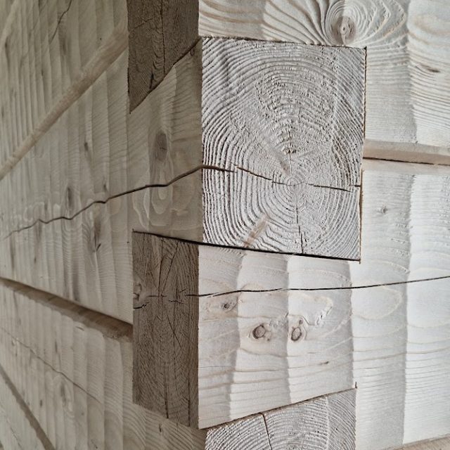 Hirsisaunan hirsien harjaus korostaa kauniisti puunsyiden kuvioita ja tekee pinnasta entistä elävämmän. Pian tehtävä kuultokäsittely viimeistelee pinnan lopulliseen muotoonsa.🪒
Aika mukavan näköistä, vai mitä😍
@ylihirsi #hirsiseinä #käsinveistettyhirsi #piilutettuhirsi #lohenpyrstönurkka