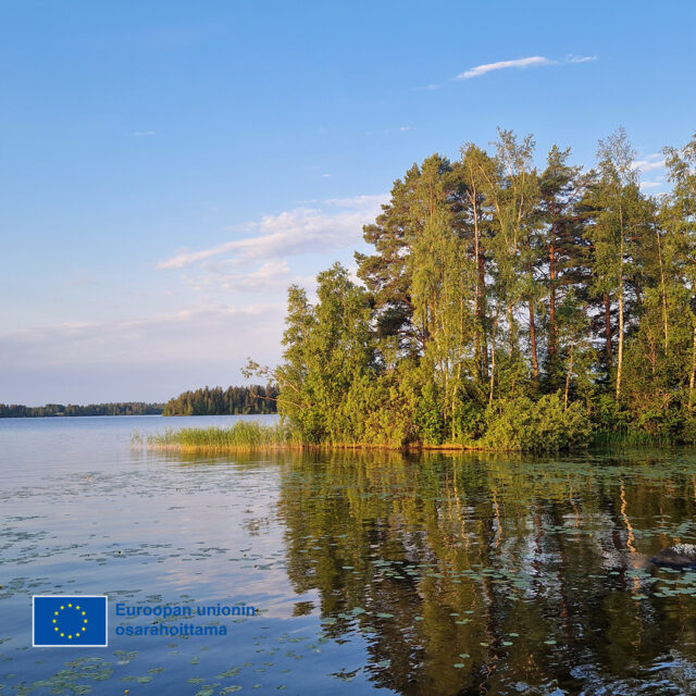 Lempee Sauna & Stay on Lempäälän Mäyriään rakentuva uusi virkistys- ja matkailukohde, johon rakennetaan yleinen sauna sekä elämyksellistä luontomajoitusta. Lisäksi alueen tarjontaan on tarkoitus lisätä monipuolisia luontoon liittyviä aktiviteetteja. Hankkeen tavoitteena on kehittää Mäyriästä vetovoimainen ja ympärivuotinen matkailukohde. Hankkeelle on myönnetty tukea EU:n maaseuturahastosta.