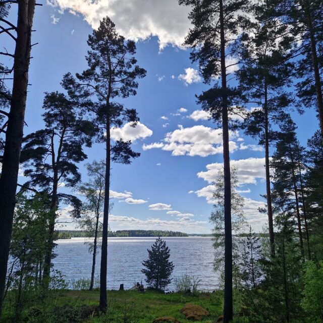 Pian Mäyriän ranta-alue puhkeaa täyteen vihreyteensä. Kuvittele aamu, jolloin avaat silmäsi Lempee Stay -mökissä ja ensimmäinen asia, jonka näet, on tämä rauhoittava näkymä suoraan sängystä. 🌲
Me huolehdimme lopusta:
Lempee aamupala toimitetaan suoraan mökkisi ovelle, jotta voit nauttia hitaasta aamusta juuri tämän maiseman äärellä. ☕🥐
Rannassa mutkitteleva luontopolku johdattaa sinut suoraan mökiltä saunalle pehmeisiin löylyihin ja vilvoittavaan veteen. 🚶♂️🧖♀️
Lempeessä luonto ei ole vain tausta, se on osa kokemusta. Täällä on tilaa hengittää ja laskeutua hetkeen. 💚