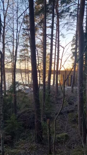Lempee Sauna sulautuu hienosti Mäyriän rantamaisemaan😍