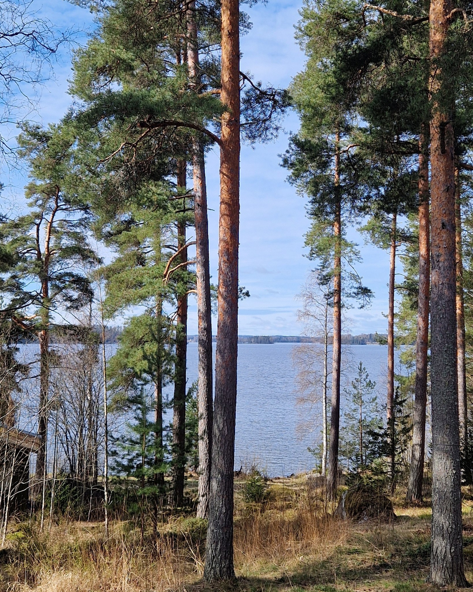 Vappuaatto on Mäyriässä on rauhallinen😊 Vain lintujen laulu ja järviveden loiske kuuluvat 🐦🌿

Pian tälle paikalle pystytetään ensimmäiset Lempee Stay -mökit🤩

#elämysmajoitus #luontomajoitus #lempeestay